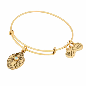 Alex And Ani Crystal Dove Charm Bangle Gifts
