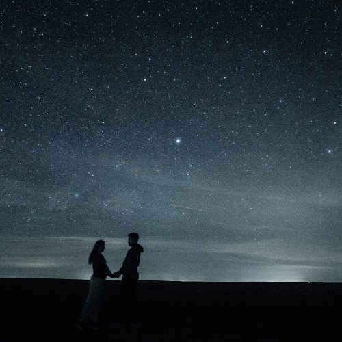 Romantic Picnic Under the Stars Proposal