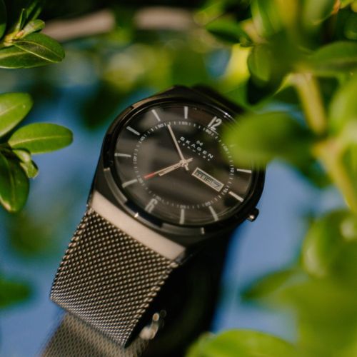Shop Skagen Titanium Watches
