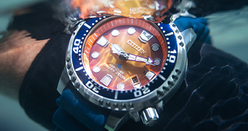 CITIZEN DIVE