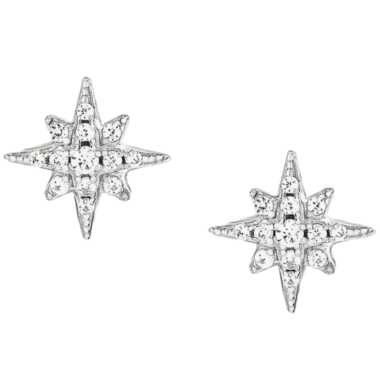 Nomination Earrings for her Christmas Gifts